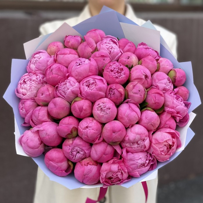 51 розовый пион Флеминг